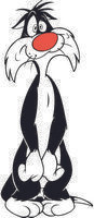 Sylvester 12