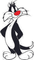 Sylvester 13