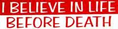 I Believe in Life Sticker Decal