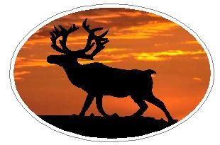 Oval Deer Decal 07
