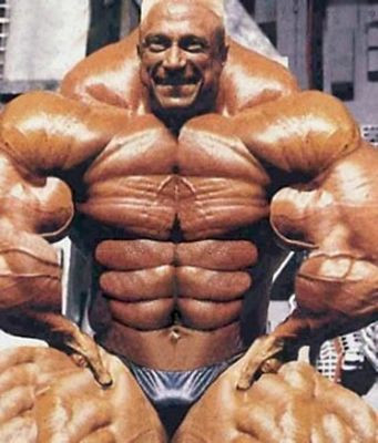 Xtreme Muscle Decal 2