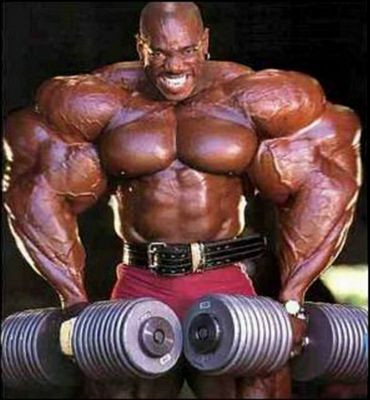 Xtreme Muscle Decal 3