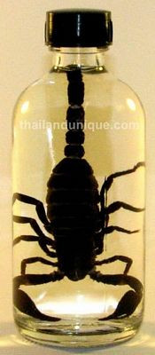 Thailand Scorpion Liqueur Bottle