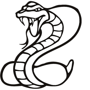 Cobra Vinyl Decal Sticker 4