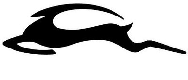 impala without oval decal LEFT