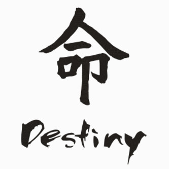 chinese destiny