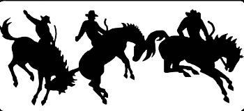 bucking broncs