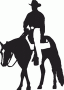 Cowboy Decals 26