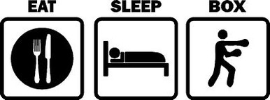 Eat Sleep Play BOX Die cut Vinyl Decal