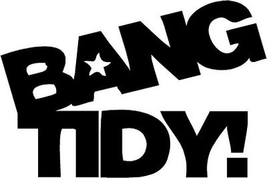 BANG TIDY funny diecut car decal