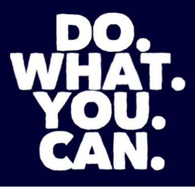 DO WHAT YOU CAN FUNNY DIE CUT DECAL
