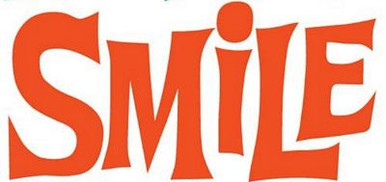 smile funny die cut car window decal