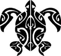Turtle Designs 1