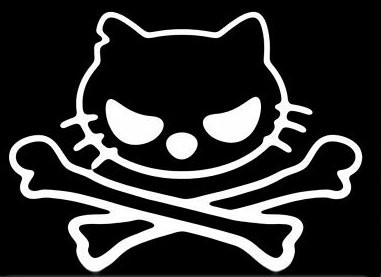 Skull Decal Sticker 3959