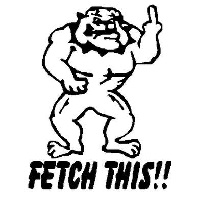 Fetch This vinyl sticker 439