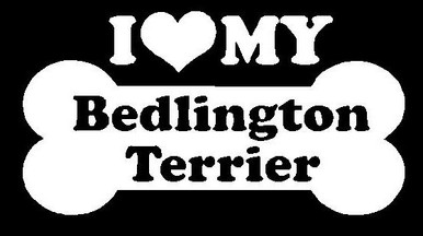 I Love My Bedlington Terrier 15