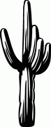 Cactus Decal