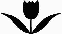 Tulip Decal