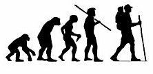Evolution Sport Stickers HIKING