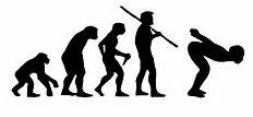 Evolution Sport Stickers SWIMMER
