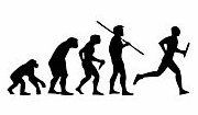 Evolution Sport Stickers TRACK