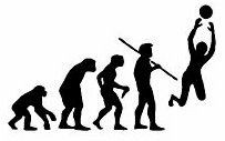 Evolution Sport Stickers VOLLYBALL