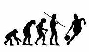 Evolution Sport Stickers WOMANS BASKETBALL