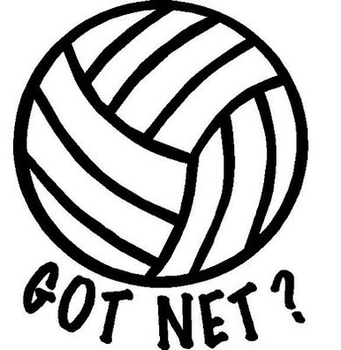 Volleyball Got Net Adhesive Vinyl Decal