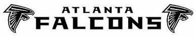NFL01 Atlanta Falcons Sport Banner