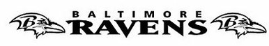 NFL06 Baltimore Ravins Sport Banner