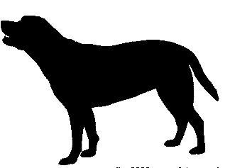 SILH 103