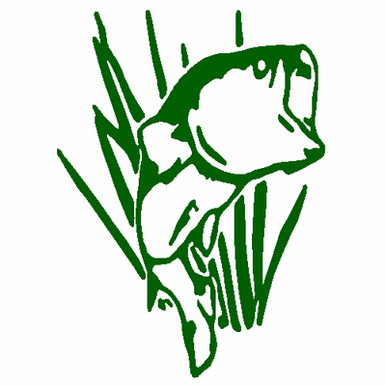 Bass decal 090
