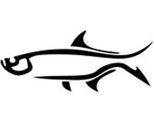 Tarpon Sportsmans Vinyl Fishing Car Decal