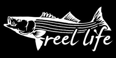 Striped Bass reel life fishing sticker