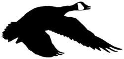 Outdoor Goose Adhesive Decal 1629