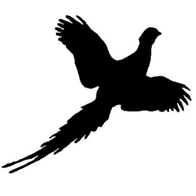 Pheasant Flying Decal 764
