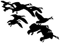 Goose String Vinyl Truck Decal 1621