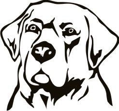 Lab Head Decal