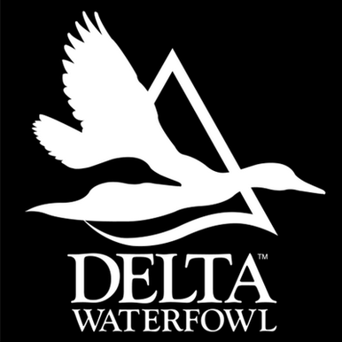 Waterfowl hunting decal
