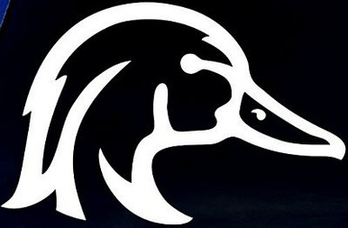 wood duck head decal