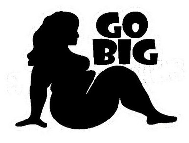 Funny Humor Diecut Decal 19
