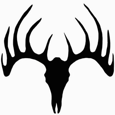 Deer Skull 04