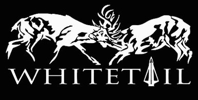 Whitetail Decal 33