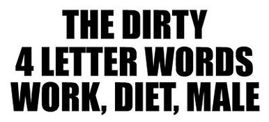 The Dirty 4 Letter Words Vinyl Car Decal