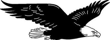 Bird Decals 24