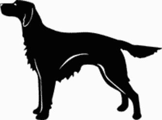 Irish Setter Dog Decal 15p