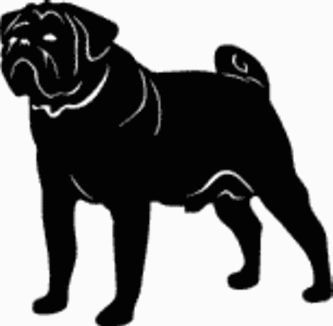 Pug Dog Decal 15s