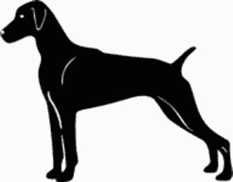 Weimereriner Dog Decal 15z