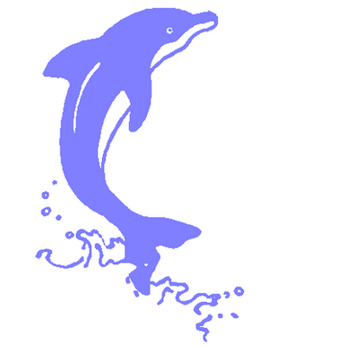 Dolphin 3 decal 532