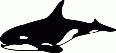 Fish Decals 04